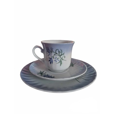 Coffee set for 12 people "Svaneholm"