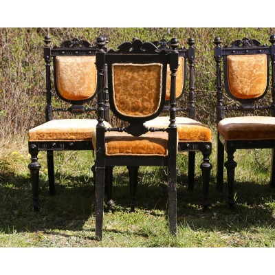 NEW RENAISSANCE style living room set (19th century)