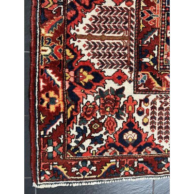 Hand-knotted Fields Bakhtiar Persian rug