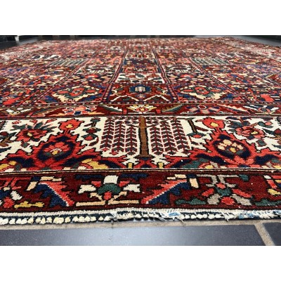 Hand-knotted Fields Bakhtiar Persian rug